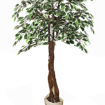 Tree with twisted trunk